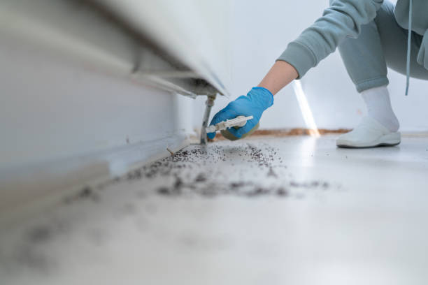 Best Exterminator Services  in Limesa, CA